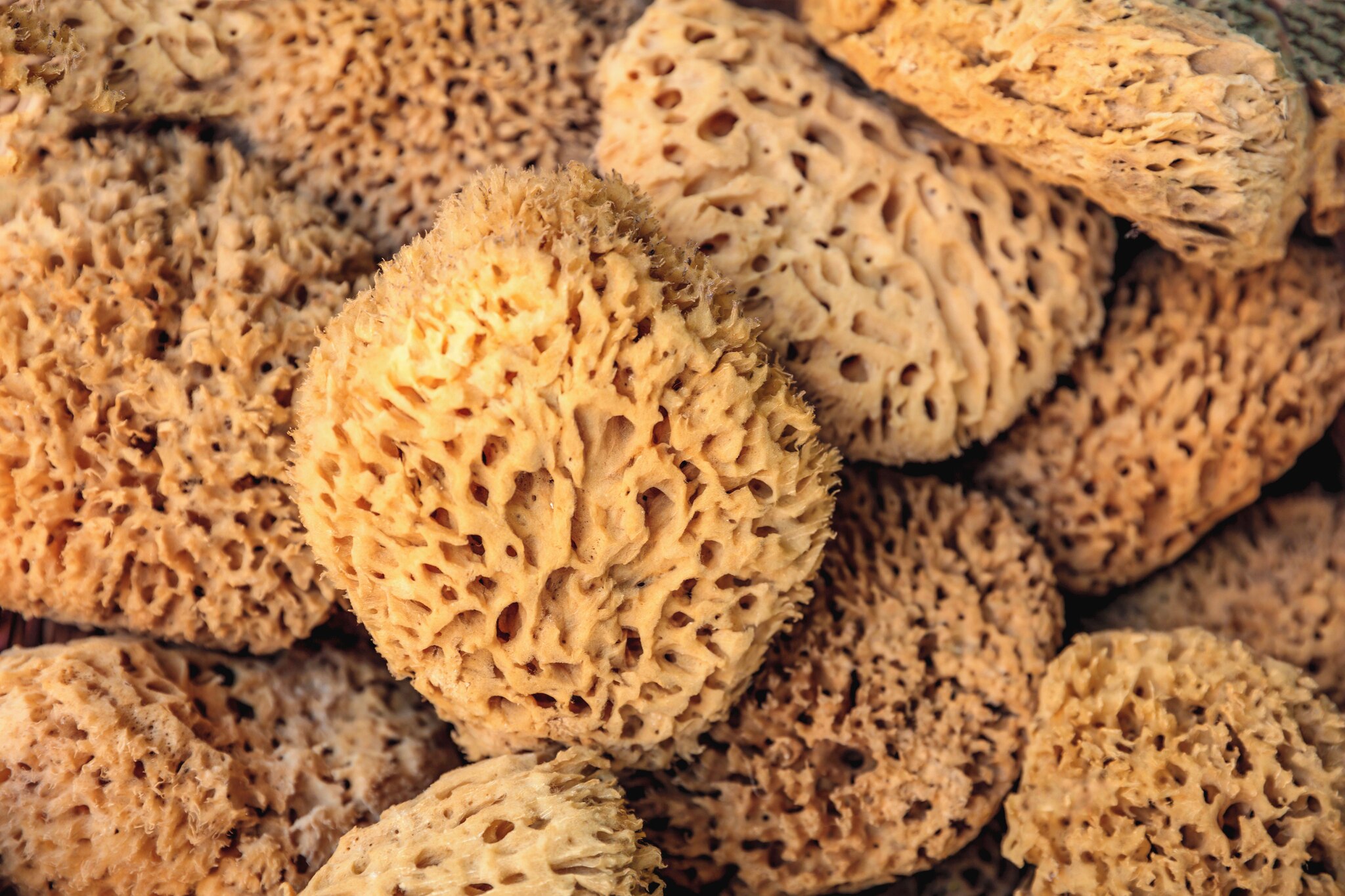 Kalymnos Sponge Factory (Kalymnos Island) Jet2holidays